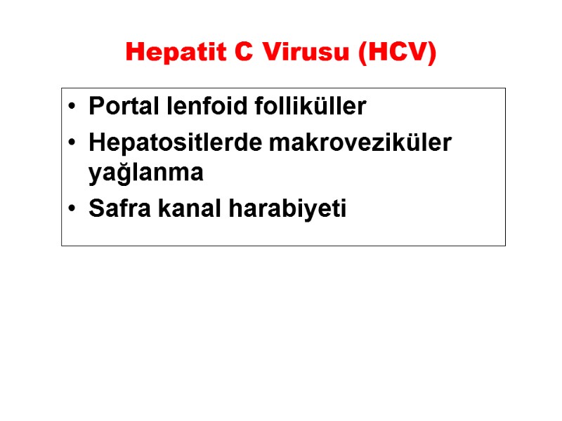Hepatit C Virusu (HCV) Portal lenfoid folliküller Hepatositlerde makroveziküler  yağlanma Safra kanal harabiyeti